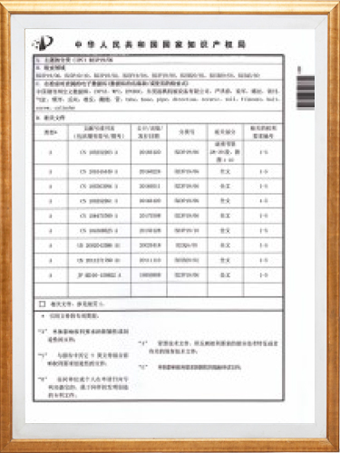 专利知识产权评估报告